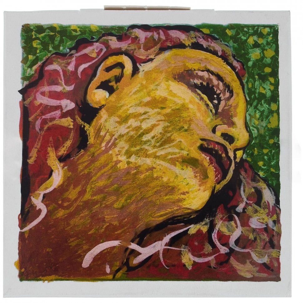 Струны для скрипки Pirastro Evah Pirazzi Neo 4/4