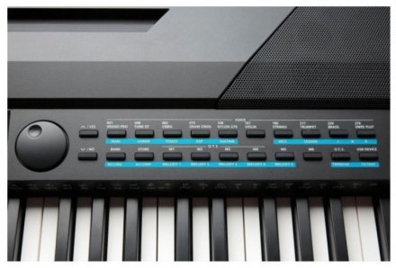 Цифровое пианино Kurzweil KA-120 - Фото №109114