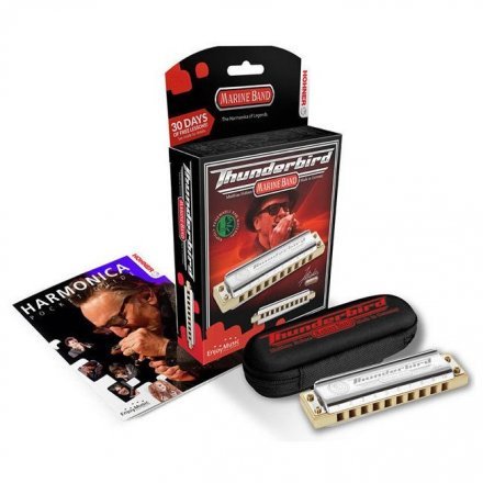 Губная гармошка  - Фото №170020