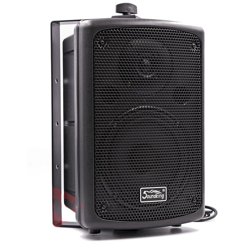 Активний топ Soundking FP206A