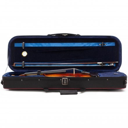 Скрипка  - Фото №179976