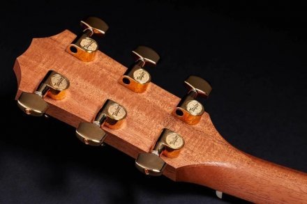 Электроакустическая гитара  - Фото №174065