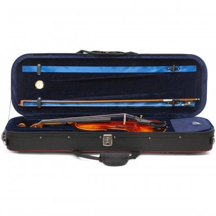 Скрипка  - Фото №179979