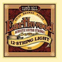 Ernie Ball P02010 12 String Light