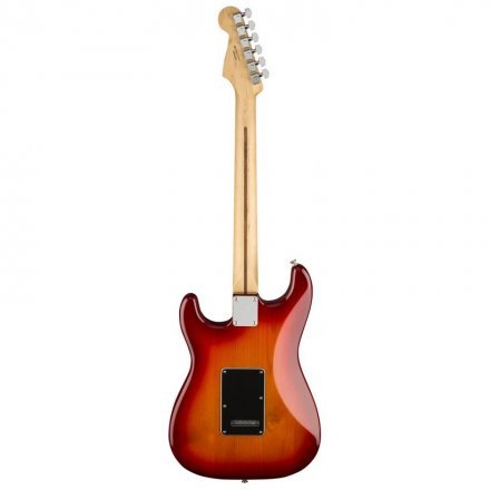 Електрогітара Fender Player Stratocaster HSS Plus Top MN ACB - Фото №8738