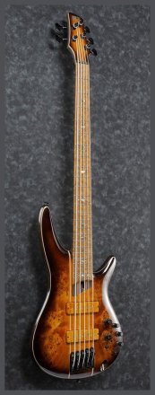 Бас-гітара  - Фото №127866