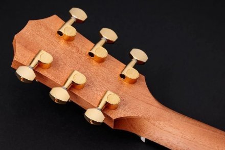 Электроакустическая гитара  - Фото №174082