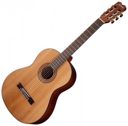 Класична гітара  - Фото №3924