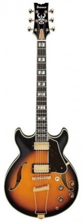 Полуакустическая электрогитара  - Фото №134692