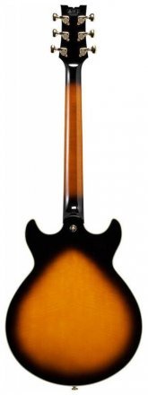 Полуакустическая электрогитара  - Фото №134693