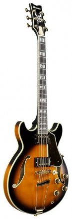 Полуакустическая электрогитара  - Фото №134694