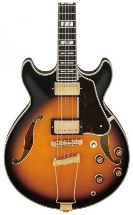 Полуакустическая электрогитара  - Фото №134695