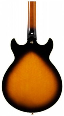 Полуакустическая электрогитара  - Фото №134696