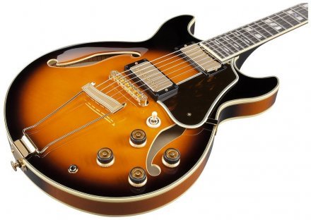 Полуакустическая электрогитара  - Фото №134697