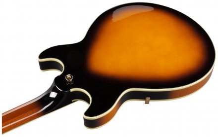 Полуакустическая электрогитара  - Фото №134698