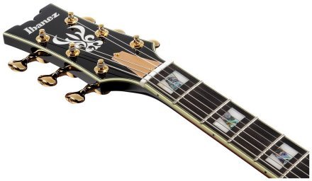 Полуакустическая электрогитара  - Фото №134699