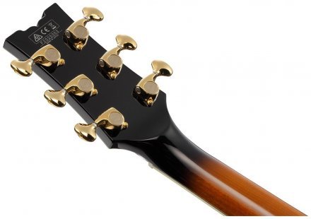 Полуакустическая электрогитара  - Фото №134700