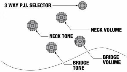 Полуакустическая электрогитара  - Фото №134703
