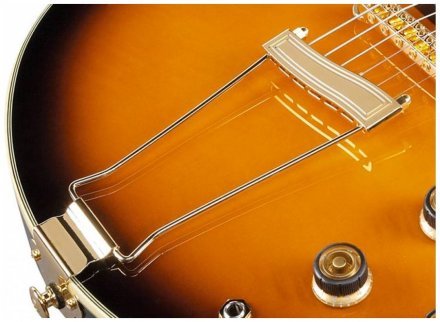 Полуакустическая электрогитара  - Фото №134704