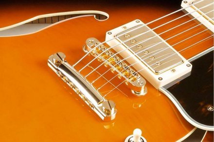 Полуакустическая электрогитара  - Фото №134705