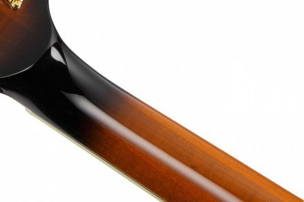 Полуакустическая электрогитара  - Фото №134706