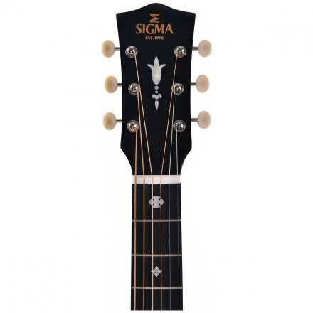 Електроакустична гітара  - Фото №168552