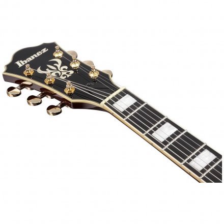 Напівакустична електрогітара  - Фото №172829