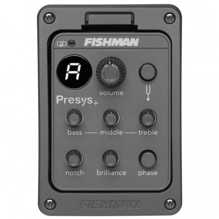 Электроакустическая гитара  - Фото №173876