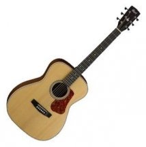 Cort L100C NS