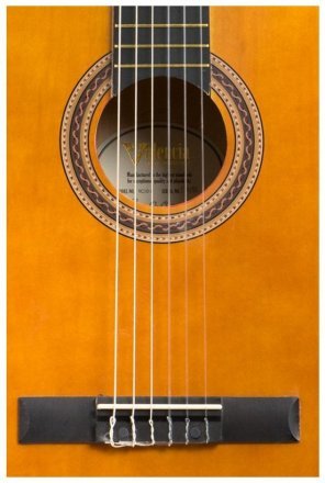 Классическая гитара  - Фото №4393