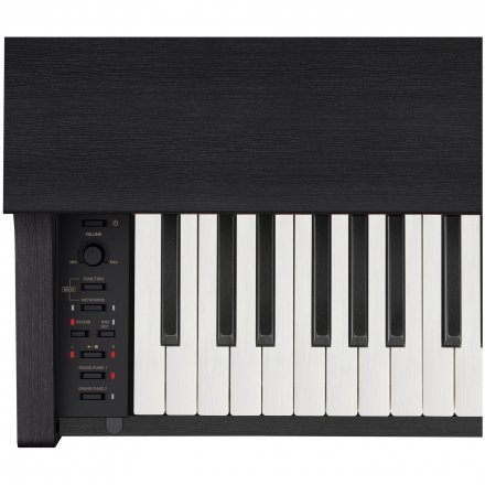 Цифровое пианино  - Фото №175516