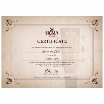 Акустична гітара  - Фото №168644