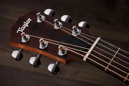 Электроакустическая гитара  - Фото №174105